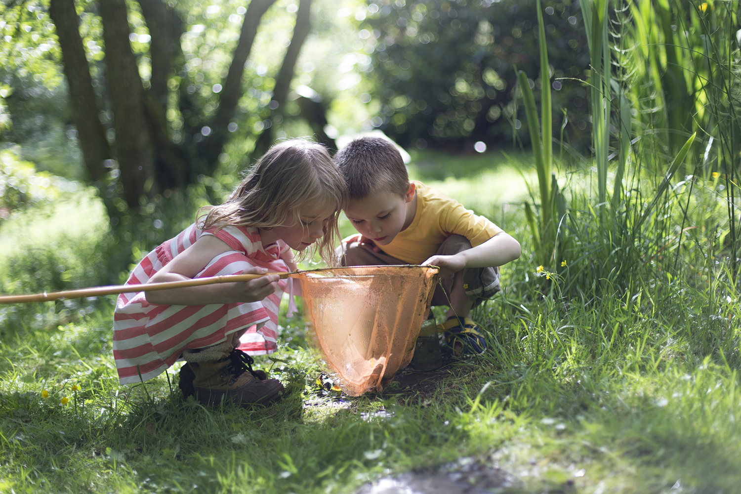 How to Raise Nature-Loving Kids in Media-Loving World Montessori Rocks