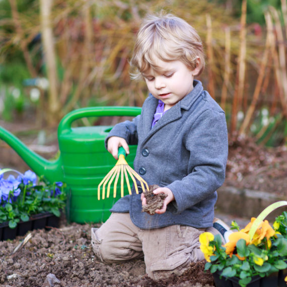 How to Make a Vegetable Garden for Kids