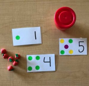 Montessori materials and flash cards